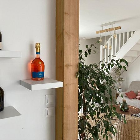 Lodge De La Vigneronne Châtillon-sur-Marne المظهر الخارجي الصورة