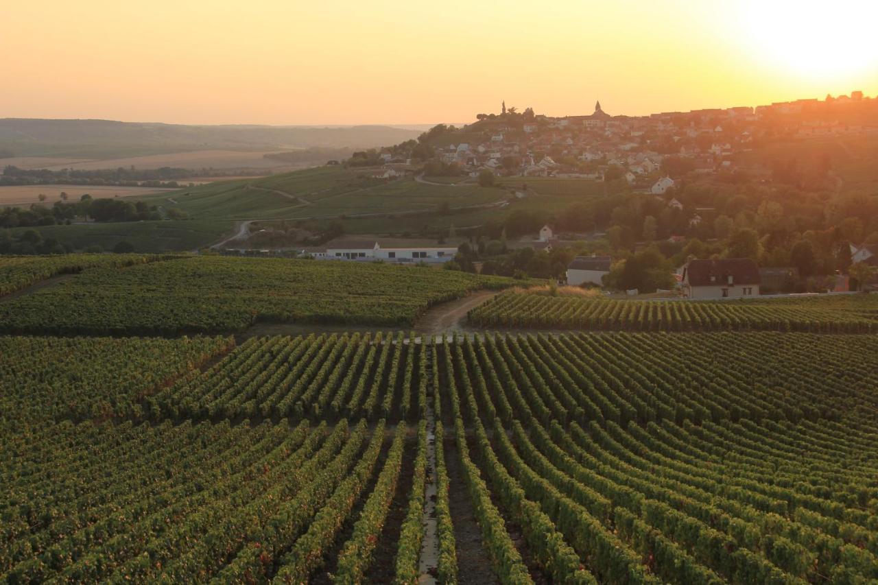 Lodge De La Vigneronne Châtillon-sur-Marne المظهر الخارجي الصورة