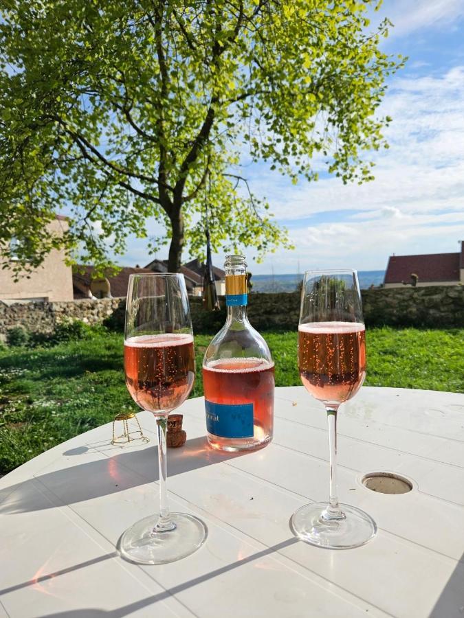 Lodge De La Vigneronne Châtillon-sur-Marne المظهر الخارجي الصورة